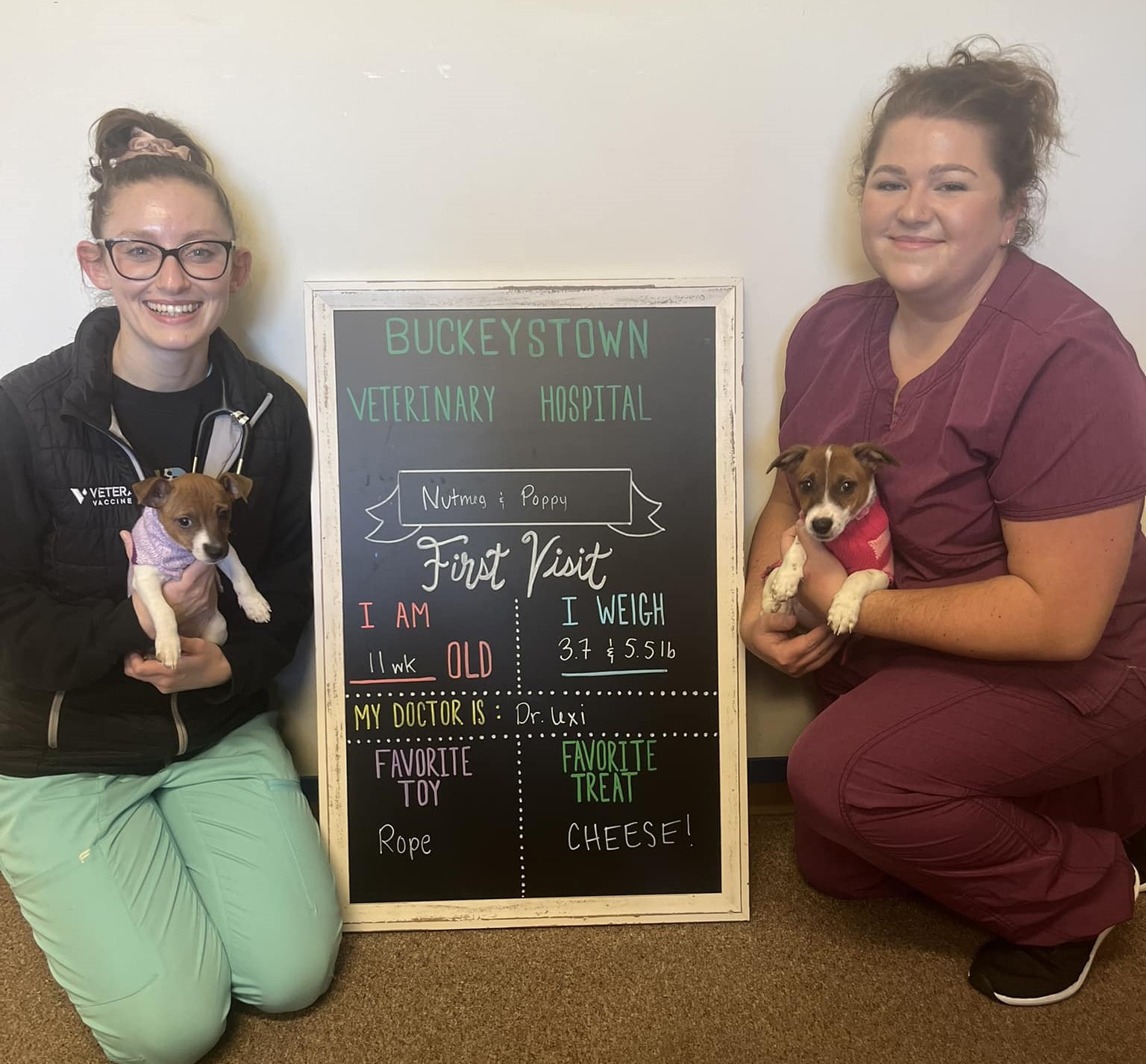Buckeystown Veterinary Hospital